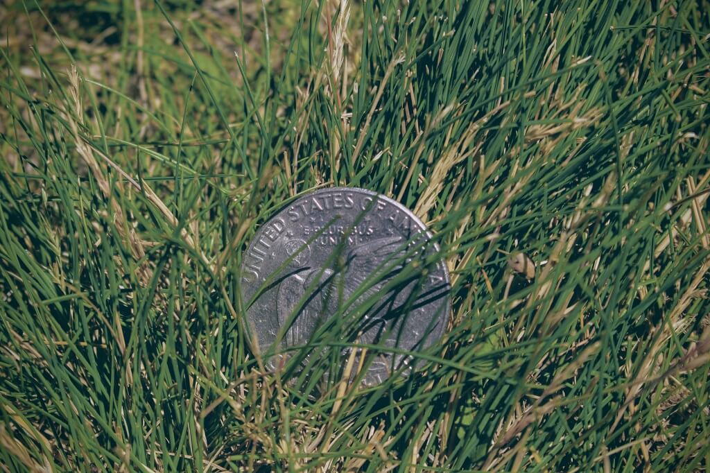 A coin rests in grass, representing that you can discover your unique capability that people want and need and will pay for.  